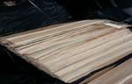 Ceiling Panels Smooth Birchwood Veneer Crown Cut Cross Grain