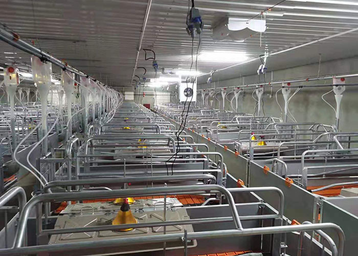 PVC Board Gestating Pig Farrowing Pen 2.5mm Thickness With BMC Slat
