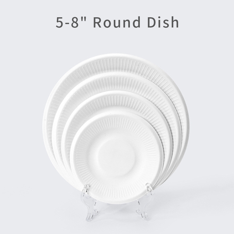 Sugarcane Bagasse White Biodegradable Food Plate Compostable