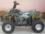 electric ATV 500w,800w,1000w. 36v(48V), 17A.Popular model,good quality