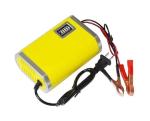 Automatic 24V 14A Pulse Repair Battery Charger 12v Battery Pulse Charger