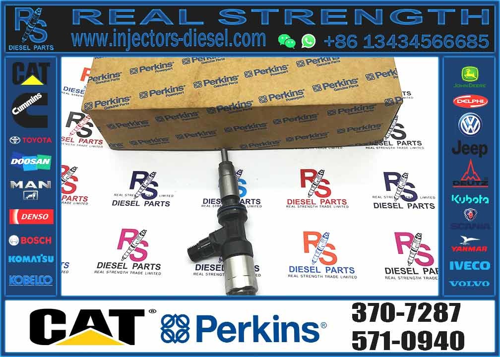 Excavator Parts 3116 Engine Injector 0R-8483 0R-3002 0R-8477 0R-3190 0R-8473 4P-2995 Fuel Injector For Excavator