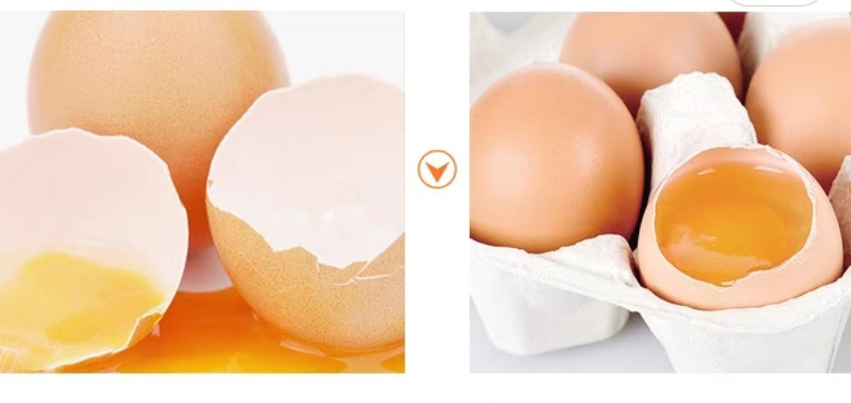 Customized PET Transparent Egg Tray Plastic Packaging Reusable With Cover