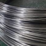 Sae1020 1050 1060 High Carbon Annealed Iron Black Spring Steel Wire for