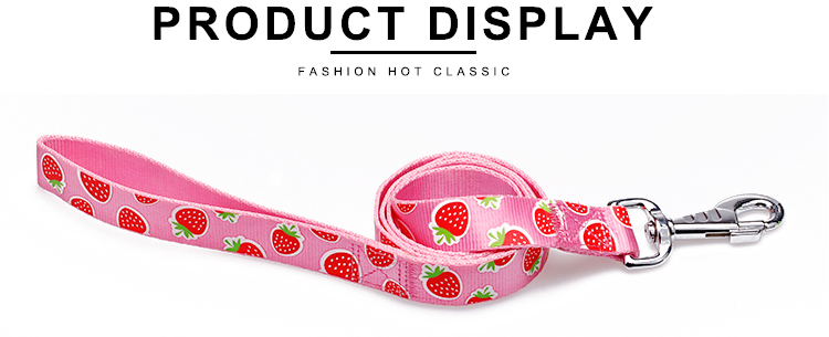 OEM training dog leash Silk Screen Pattern dog training lead
