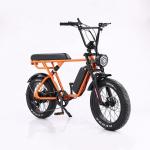 Full Suspension Fat Tyre Electric Bicycle 48V 500W 7 Speed Electric Mountain