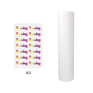 Quality 60cm Width Cold and Hot Peel Instantly For Heat Transfer PET DTF Film wholesale