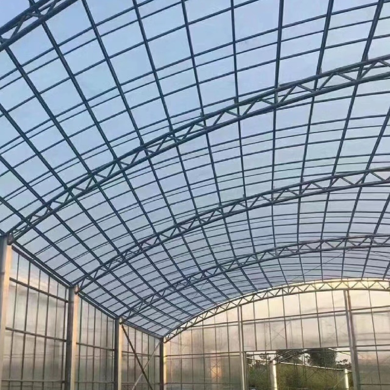 Large Size Commercial and Agricultural Venlo PC Polycarbonate Greenhouse