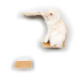 Standard Copper Cat Wall Plate Shelves Steps for Wall Mounted Cat Scratching