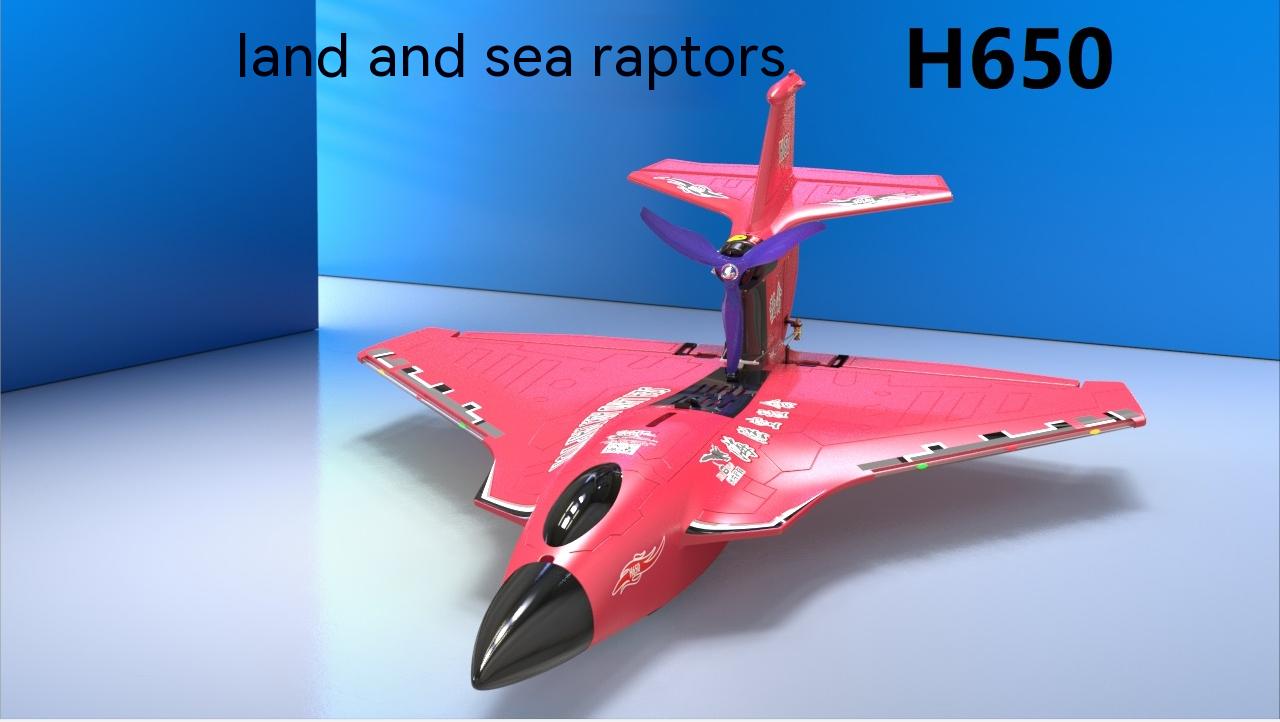 Electric Power Raptor H650 Long Range 2.4g Proportional Sea Land Air Led Aerobatics Stunt RC Glider with 6 Channels Control