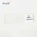 Bioresearch Prepared 15pcs Microscope Glass Slides