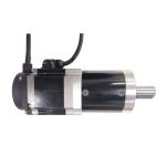 36 Volt 200 Watt 3000RPM Small DC Servo Motor Swing Barrier Gate Railway Station
