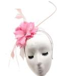 Graduation Party Decoration Goose Feather Fascinator Flower Mount With Headband