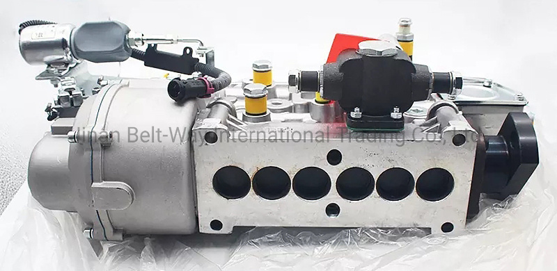 Hg1500089019 Cnhtc Engine Part Diesel Fuel Injection Pump for Wd615.68c02n
