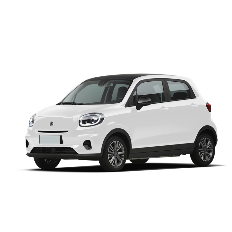 2023 Leapmotor FWD MINI EV Small-Sized Pure-Electricity Car with Single Motor and 4-Door 5-Seater SUV Body Structure