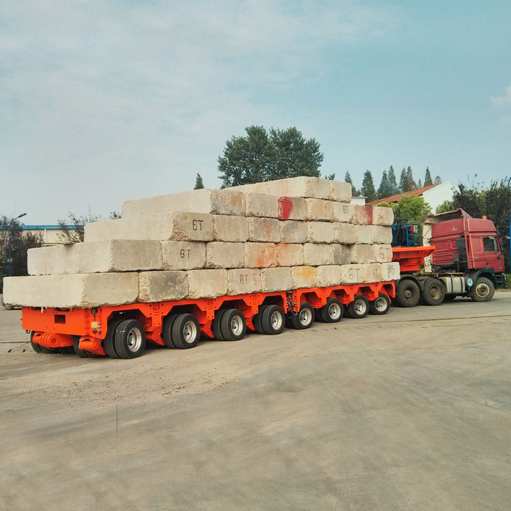 Multi-Directional Steering Self-Propelled Trailer for Customised Cargo Transportation