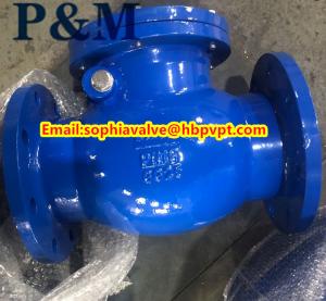 Quality BS5153 cast iron swing check valve wholesale