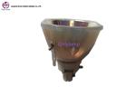 Professional Christie Projector Lamp 003-005160-01 DT01725 For DHD851 , DWU851 ,