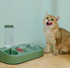 Quality Ceramic Automatic Cat Feeder Dry Wet Depart For Cats wholesale