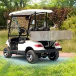 New Energy LSV UTV Community Golf Carts Vehicle For Family