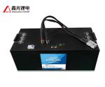 Rechargeable 48v 80Ah Lithium Iron Phosphate Power Battery Packs