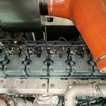 300KVA 250kw Methane Gas Generator with Remote Start and Pure Copper Brushless