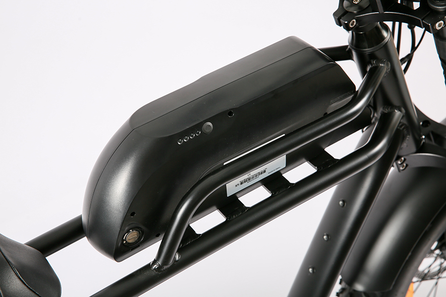 Rear Carrier Battery Position 48V 1000W Electric Bicycle for Fast Speed and Customized