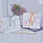Custom Logo Printed Debossed PMS Paper Bag Packaging For Retail Shopping