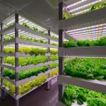 Hydroponic System Container Farm Suitable for Growing Vegetables Fruits and