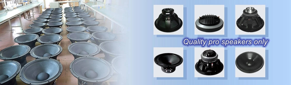 Paper Cone Neodymium 98dB 12 Inch Midbass Speakers
