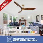 DC Motor Power Saving 3 Blade Ceiling Fan No Light 5 Speed Choice