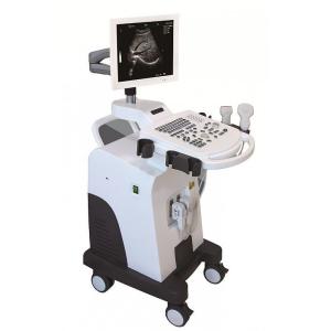 Quality B/W ultrasound wholesale