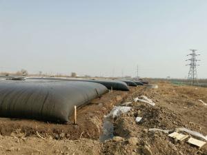 Quality High Strength Dehydrated Gt500 Pp Material Geotextile Tubes wholesale
