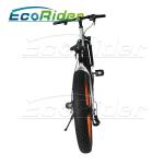 26 Inch Tires 2 Wheel Electric Bike Outdoor Off Road Dirt Electric Snowmobile
