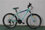 Made in China CE standard 26 inch steel 21 speed mountain bike/bicycle/bicicle
