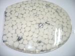sea star shell poly resin toilet seat