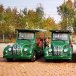 3 Rows 8 Seats Green Classic Bus Vintage Car New Energy Vehicle Sightseeing Car