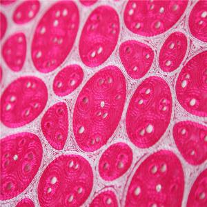 Quality F50273 51&quot;-52&quot; width new design swiss double organza lace/ embroidery lace fabric with holes wholesale