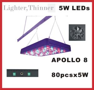 Quality Cidly LED 5w grow light 400w for Commercial Greenhouses veg plants growers medical plants wholesale