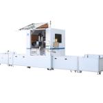 Energy Storage Lithium Pouch Battery Pack Production Line Turnkey Project with
