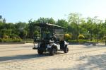 High End Luxury Electric Golf Cart With Customizable Colors For Beach Snow