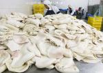 Boiled Frozen Squid Tubes Fillet Bqf Darumar Thickness 6mm - 12mm