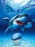 BSCI Lenticular 3D Pictures For Hotel Decoration / 3D Animals Photos