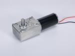 Faradyi Most Popular 12V 24V 5840 Worm Gear Self Locking Micro Dc Gear Motor