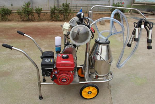 XD32Q Vacuum Pump gasoline-engine driven and electric motor-driven mobile