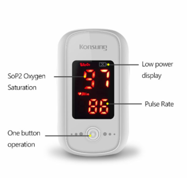 Accurate Results OLED Fingertip Digital Pulse Oximeter For Home Use