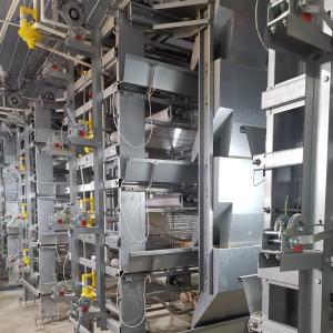 Quality 60 Days Baby Chicken Galvanized Multi Poultry Broiler Cage Chicken Raising wholesale