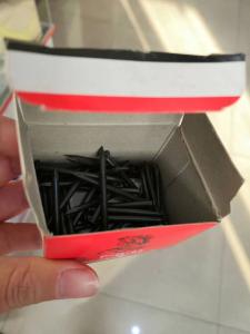 Quality Strong Black Concrete Nails Mushroom Head 50mm Masonry Nails wholesale