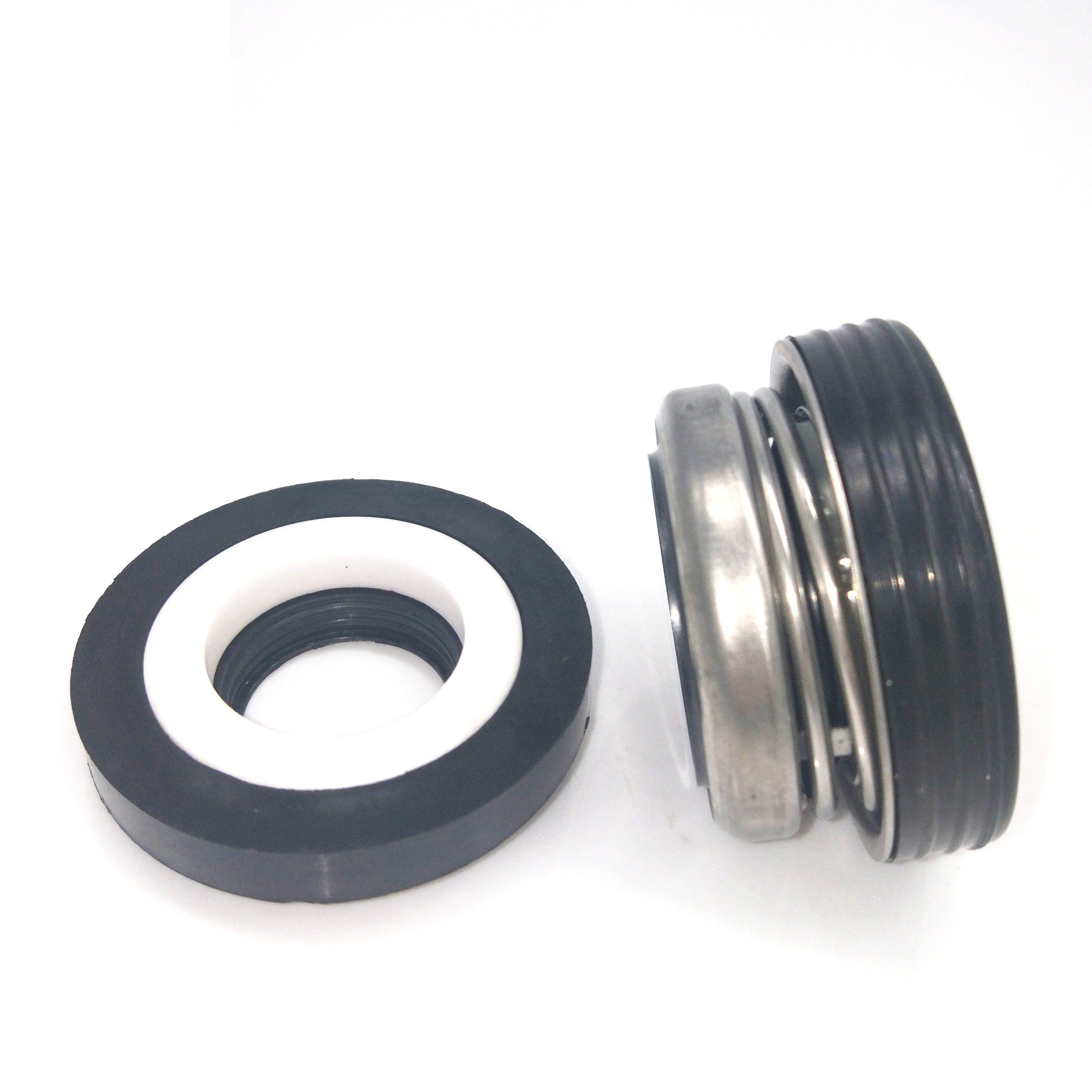 FTK2 Ebara Pump Seals