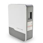 Affordable Wall-Mounted LiFePO4 Battery for Home Storage System 100Ah/200Ah